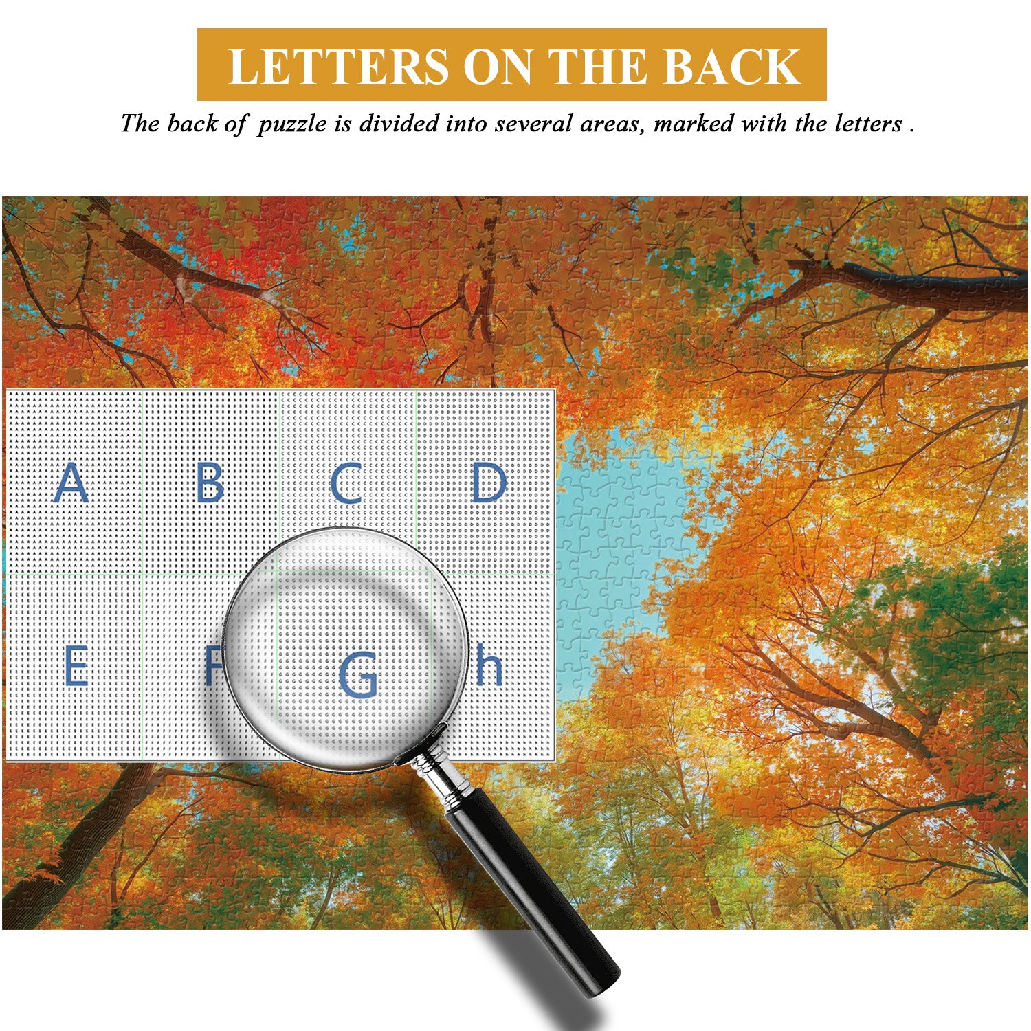 Pun puzzle 1000 pezzi di heartleaf autunno