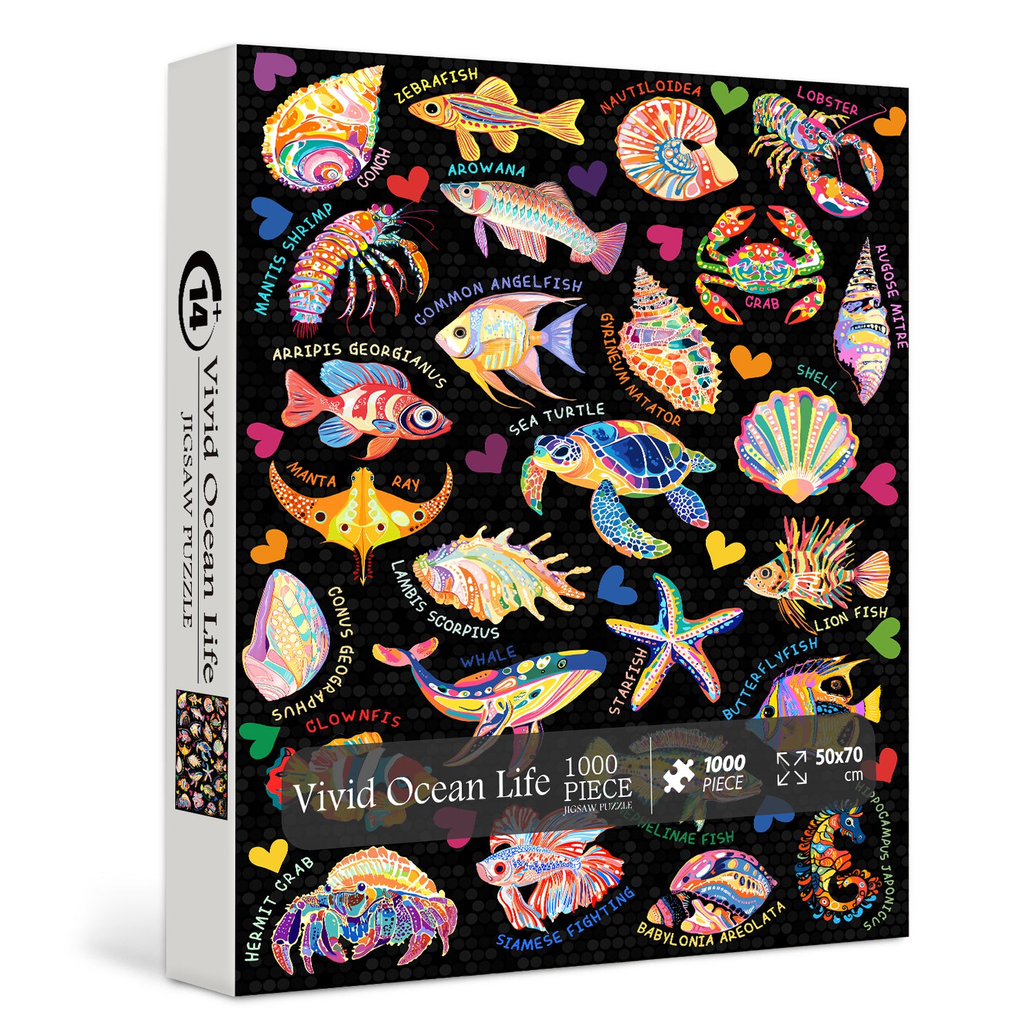 Vivid Ocean Life puzzle puzzle 1000 pezzi