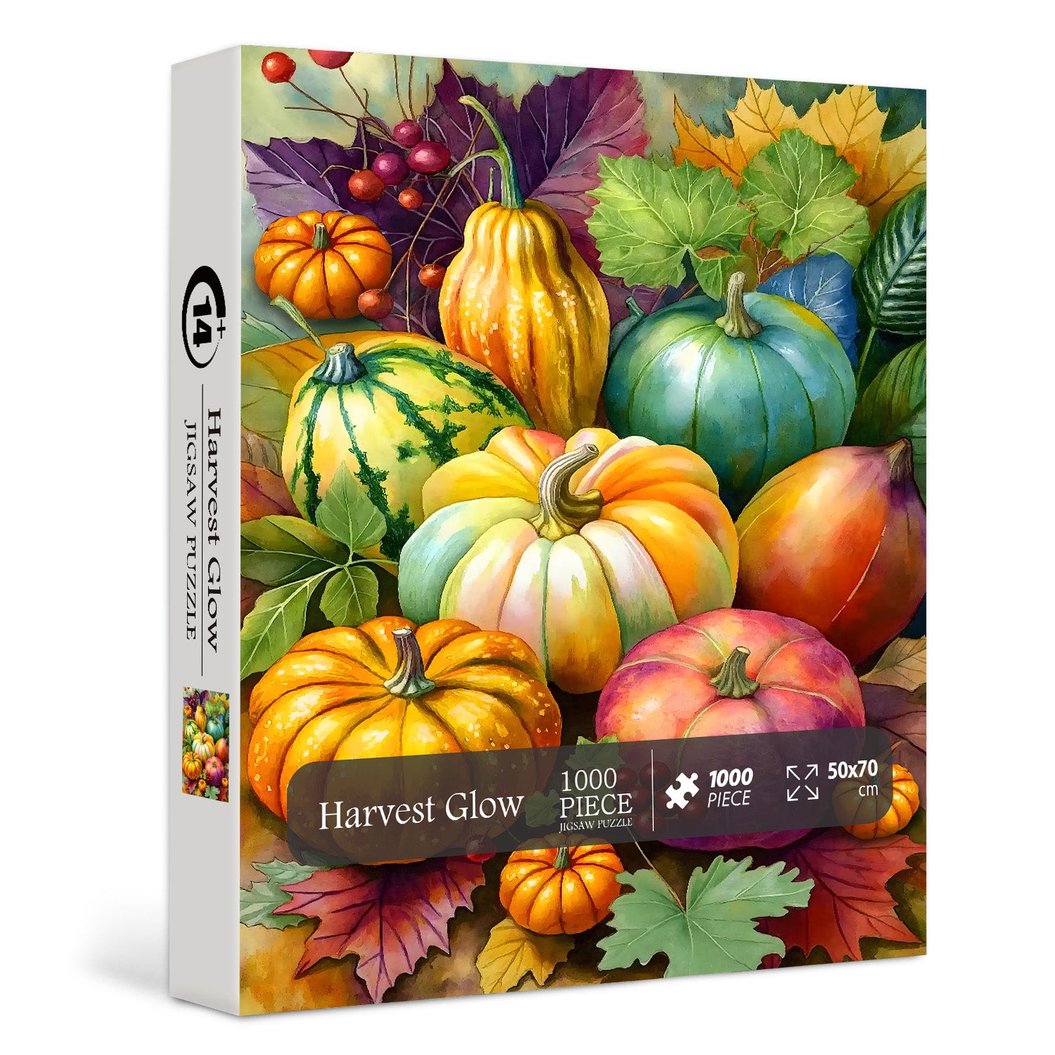 Raccolta puzzle puzzle 1000 pezzi
