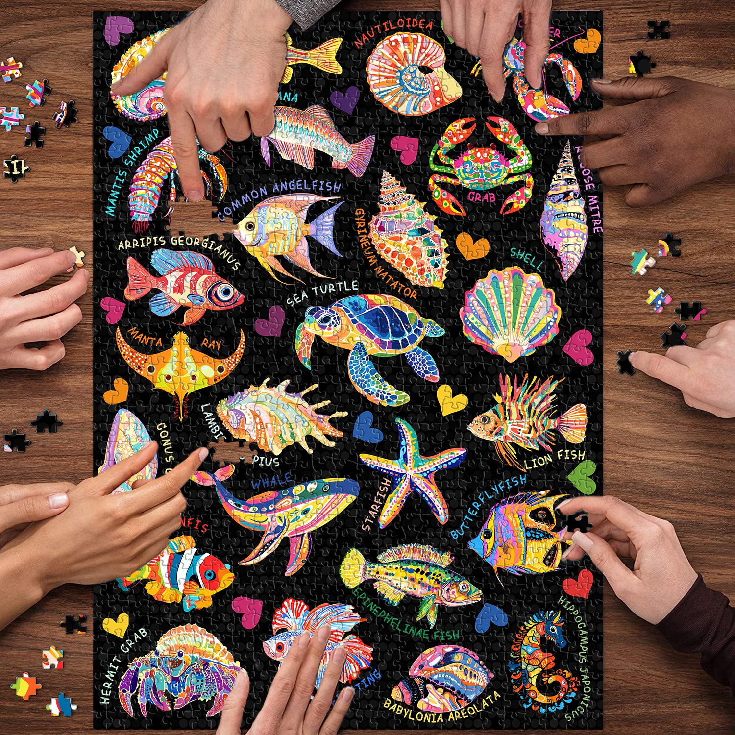 Vivid Ocean Life puzzle puzzle 1000 pezzi
