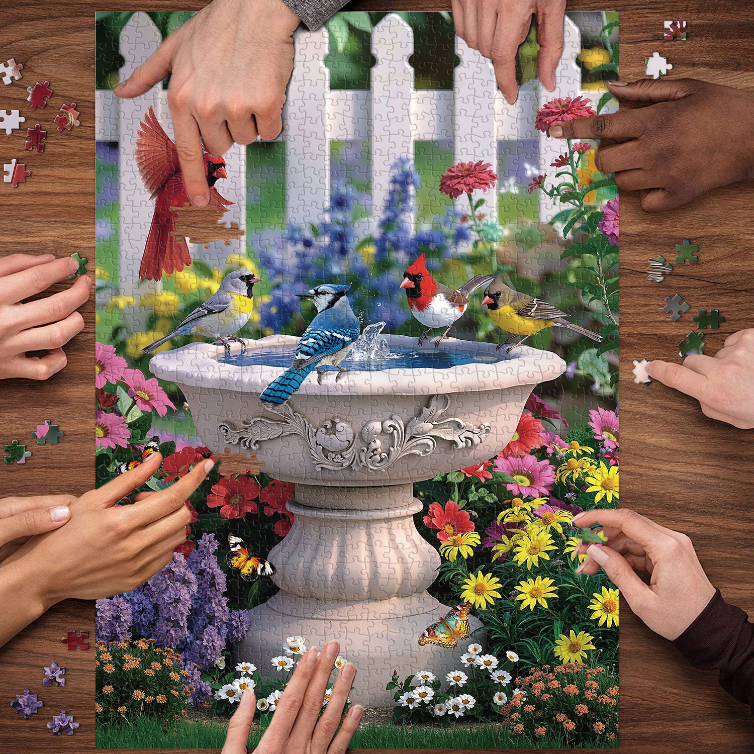 Puzzle a lmpressione a molla 1000 pezzi