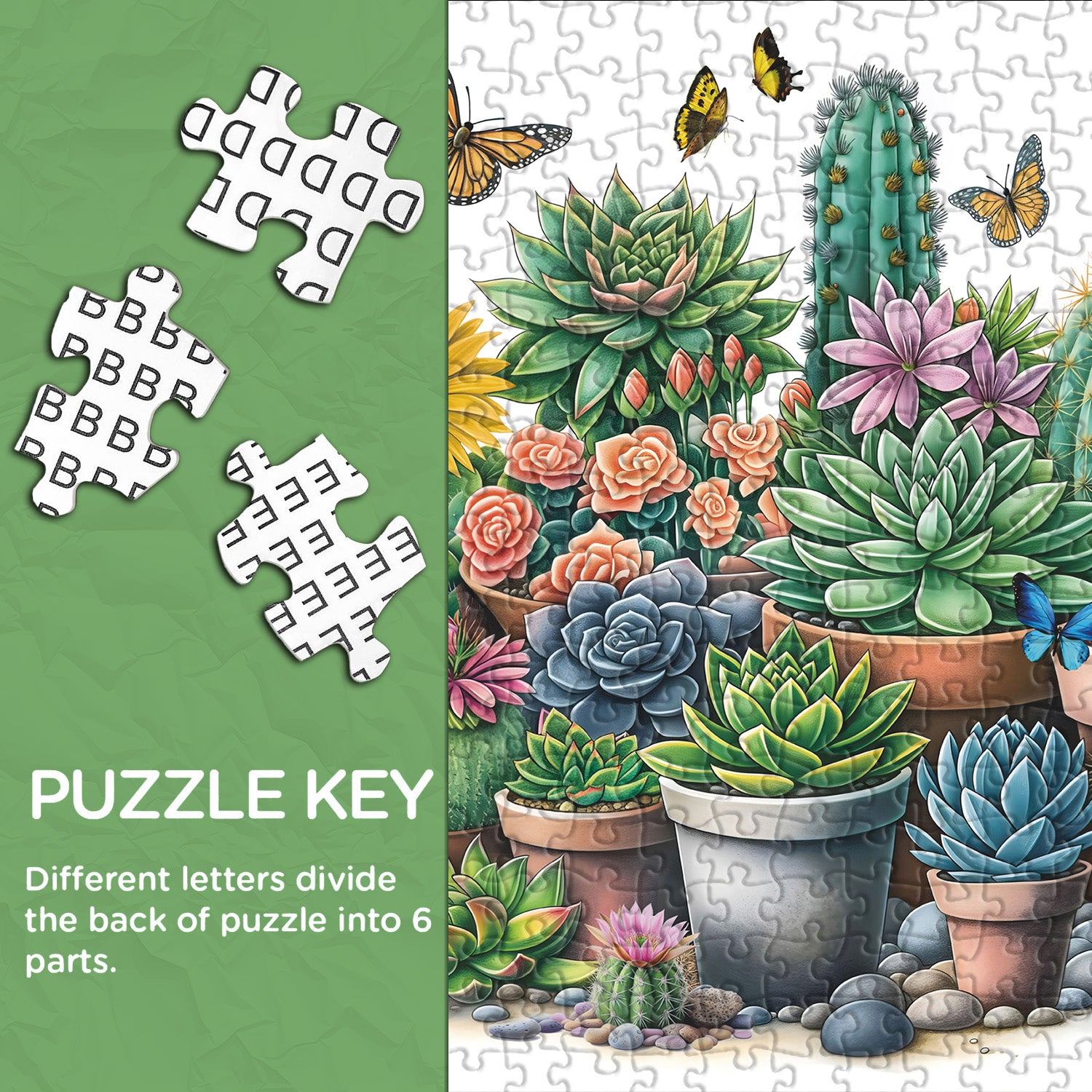 Sonnige Sukkulenten Jigsaw Puzzle 1000 Stücke