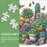 Sonnige Sukkulenten Jigsaw Puzzle 1000 Stücke