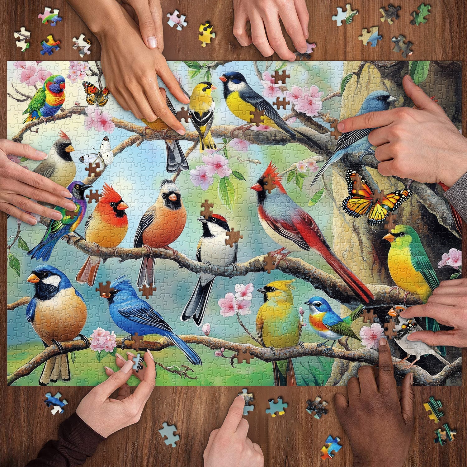 Blossoms Blossoms puzzle puzzle 1000 pezzi
