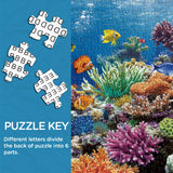 Puzzle dream puzzle 1000 pezzi