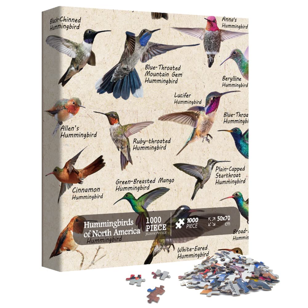 Puzzles de puzzles 1000 pièces