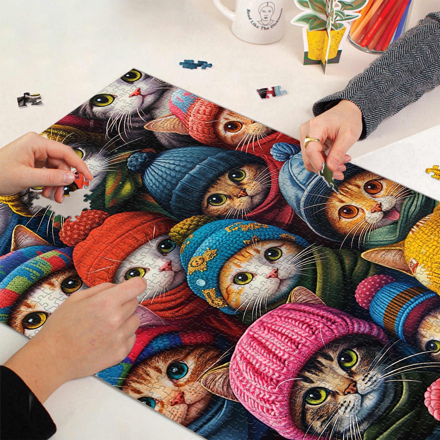 Beanie Cat Jigsaw Puzzle 1000 Pieces