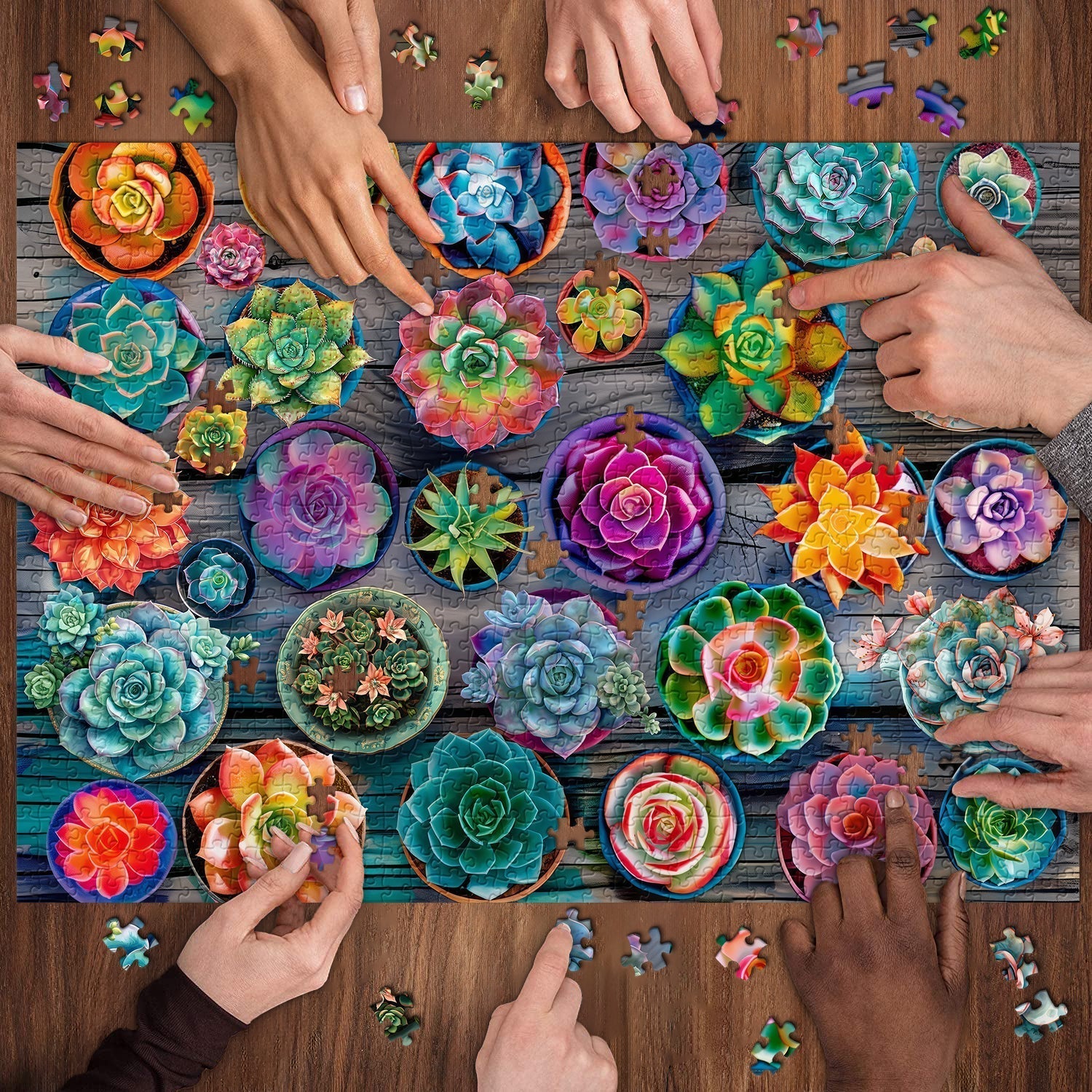 Sukkulent im Plattensäge -Puzzle 1000 Stücke