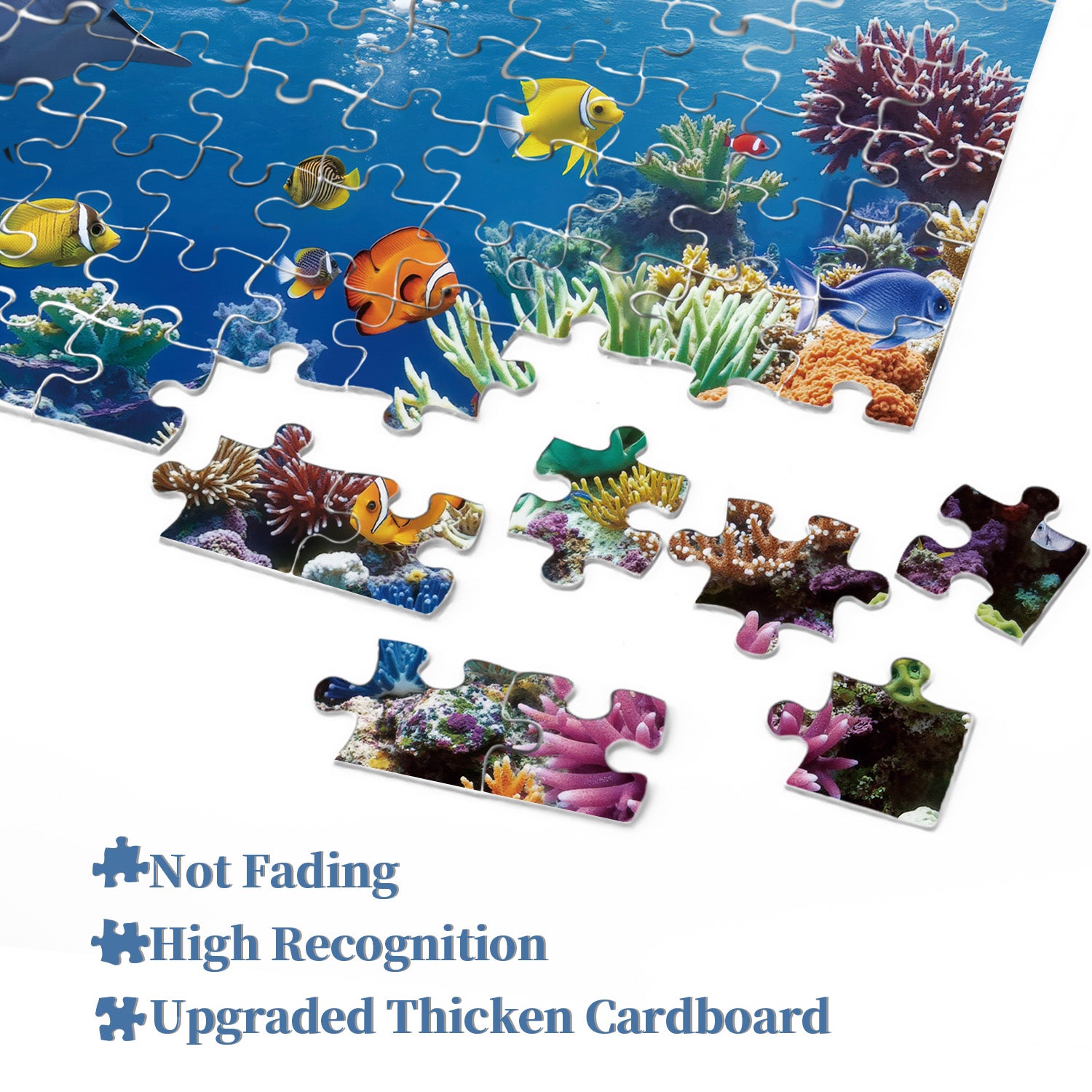 Puzzle dream puzzle 1000 pezzi
