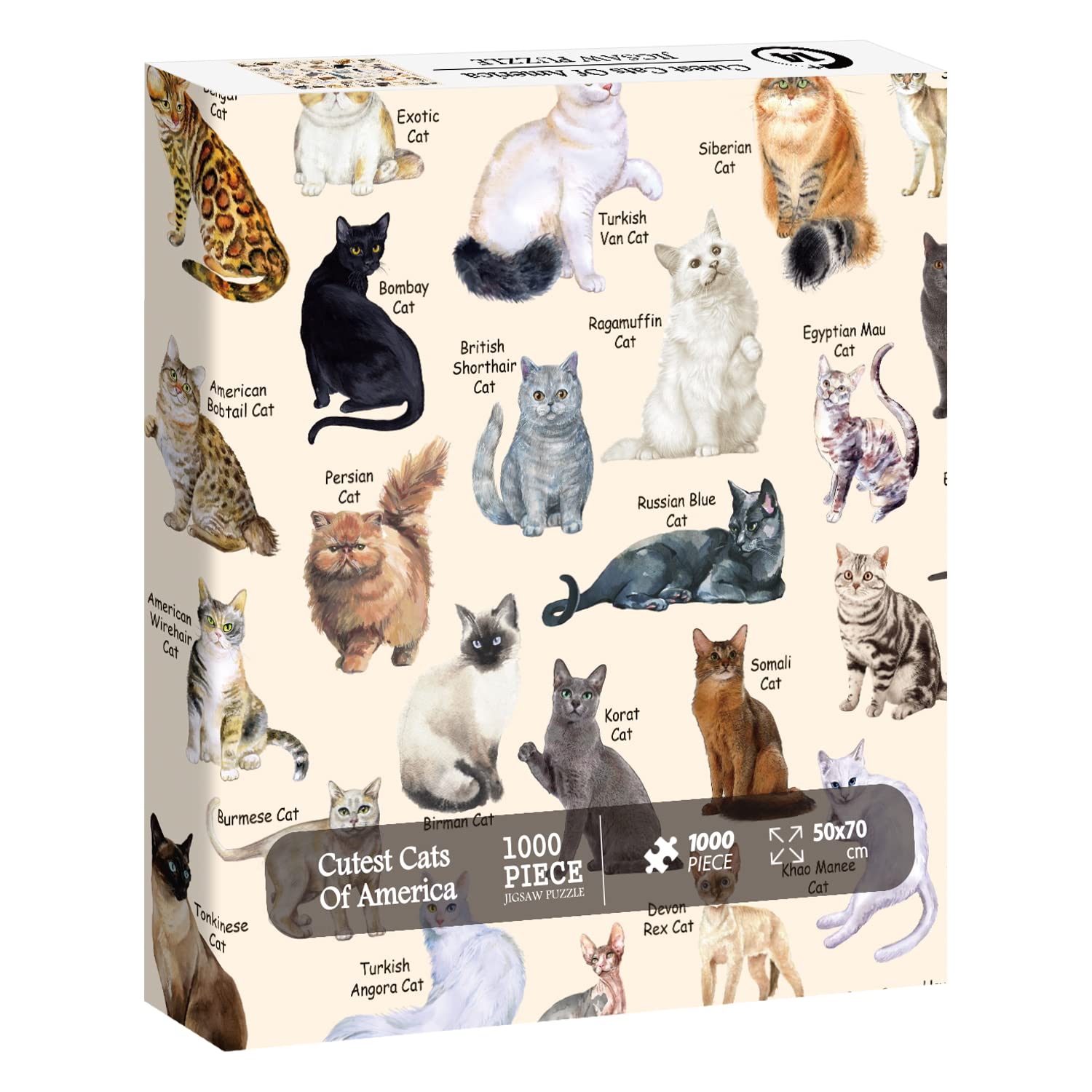 I più carini gatti puzzle 1000 pezzi