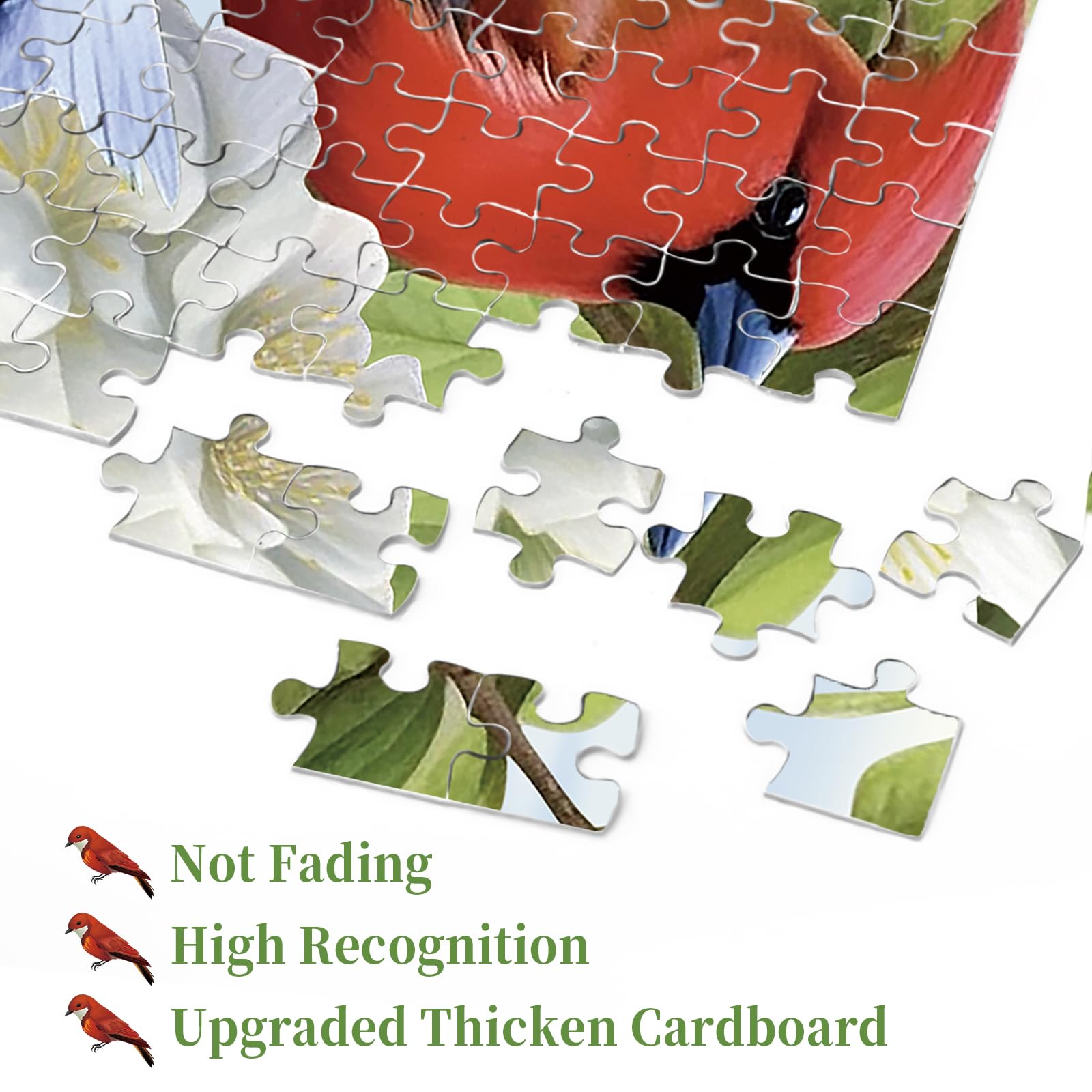 Bird Garden puzzle puzzle 1000 pezzi
