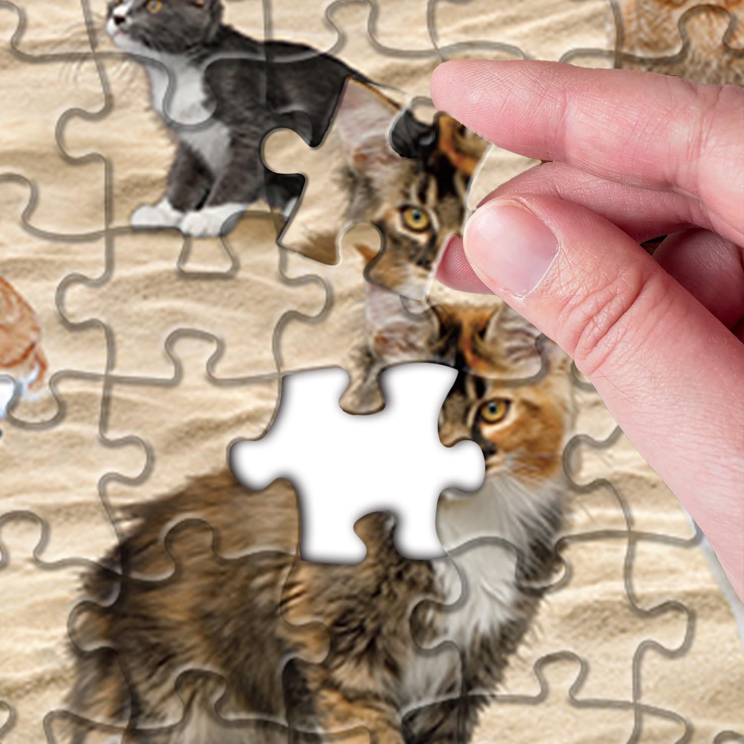 Beach Pooping Cats puzzle puzzle 1000 pezzi