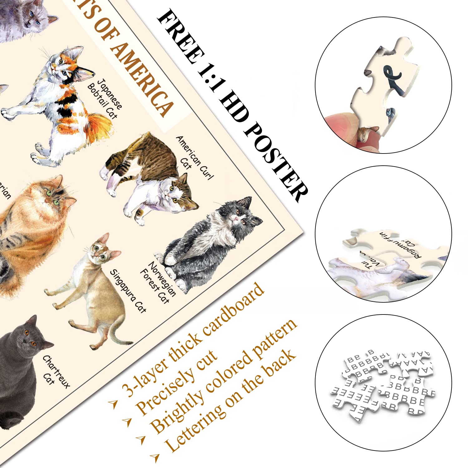 I più carini gatti puzzle 1000 pezzi