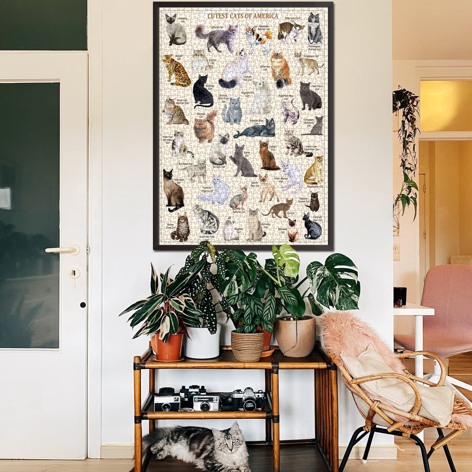 I più carini gatti puzzle 1000 pezzi