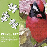 Bird Garden puzzle puzzle 1000 pezzi