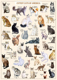 I più carini gatti puzzle 1000 pezzi