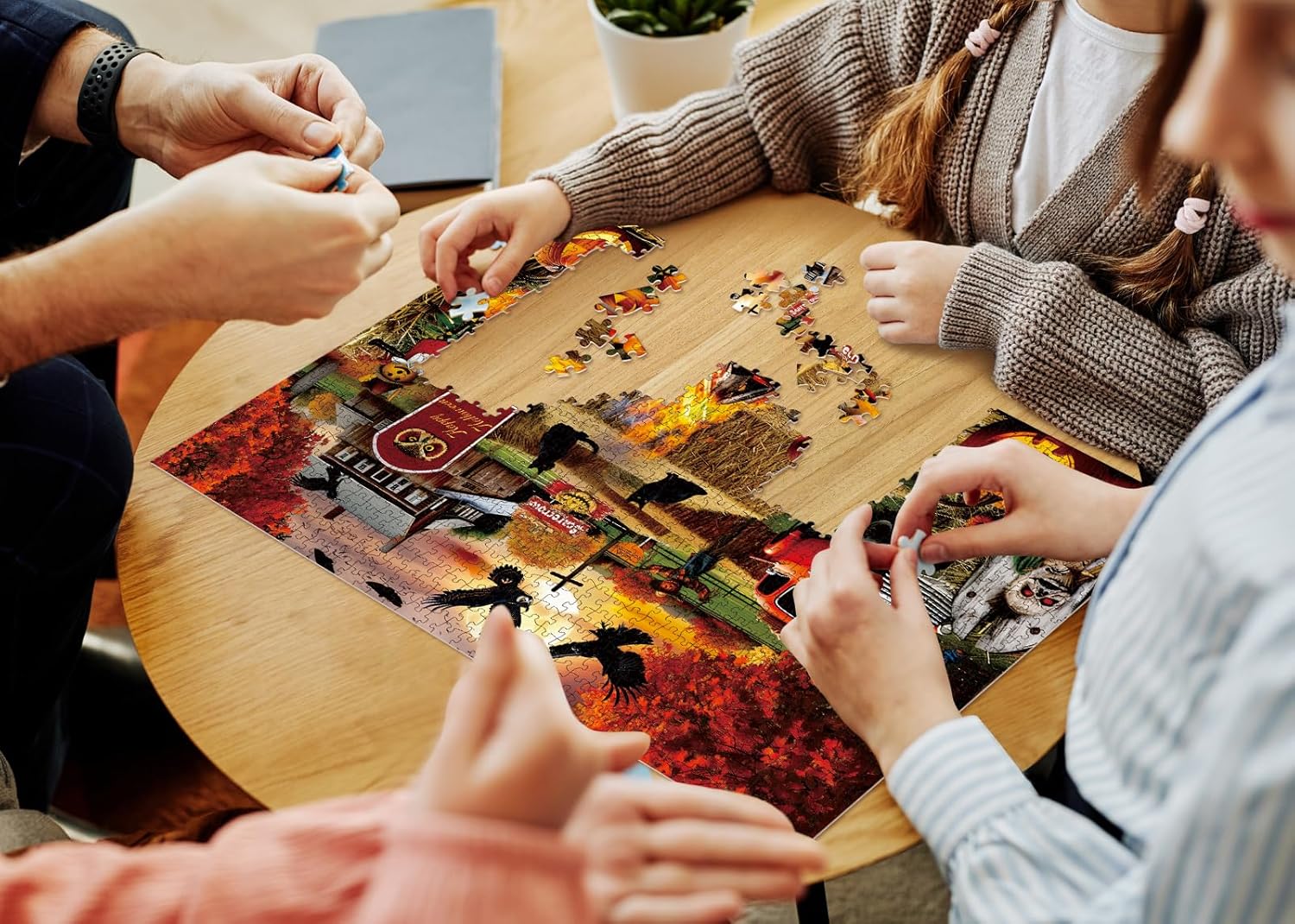 Carnival Farm Collegsaw Puzzle 1000 pezzi