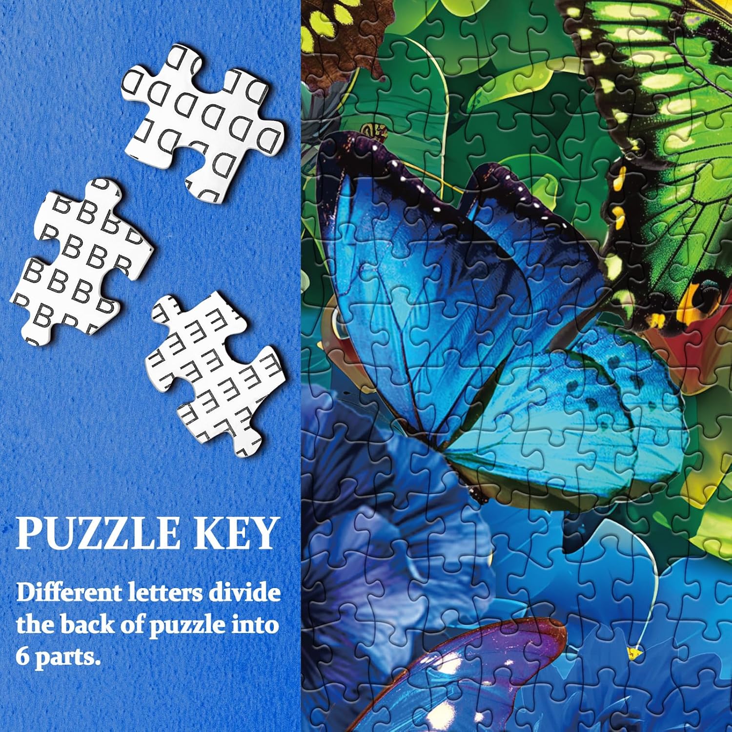 Rainbow Blooms Jigsaw Puzzles 1000 Pieces