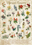 Puzzle de puzzle de fleurs vibrantes 1000 pièces