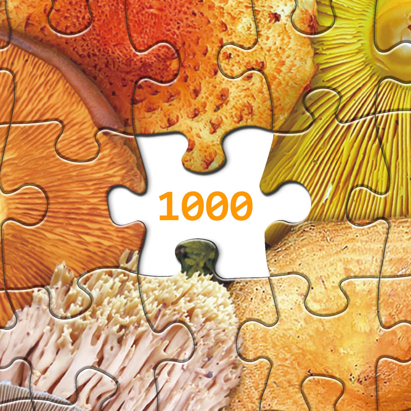 Buntes Pilzpuzzle 1000 Stücke