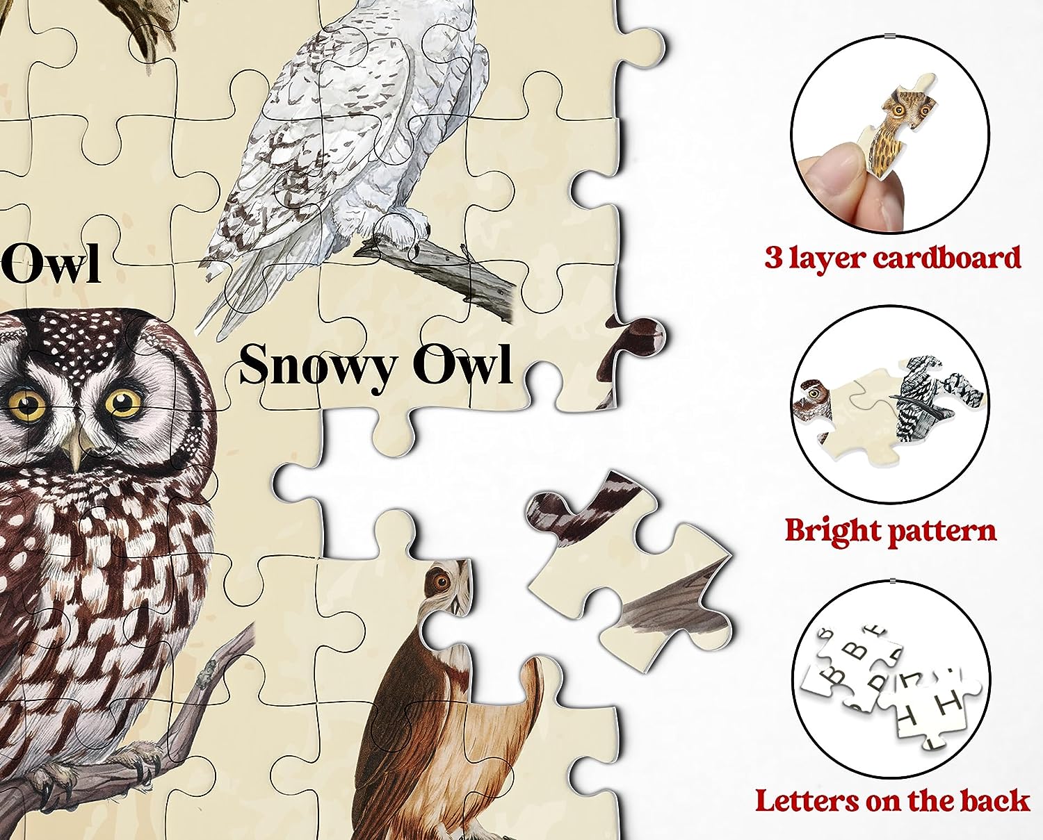 Pezzi di puzzle da puzzle gufo 1000 pezzi