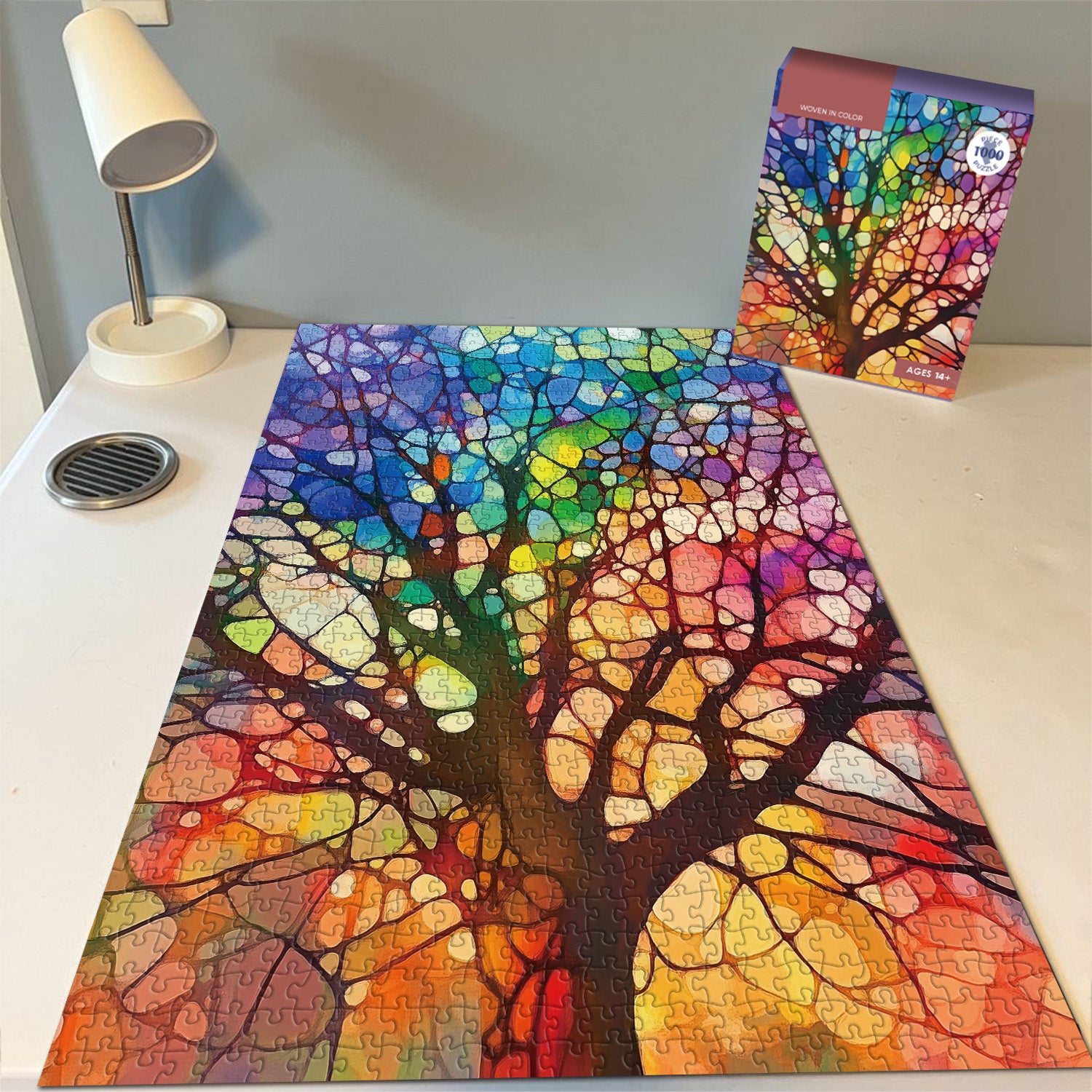 Pieci 1000 intrecciati a colori 1000 pezzi