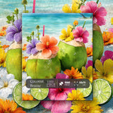 Puzzle con brezza di cocco, 1000 pezzi