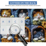 Cozy Kittens Jigsaw Puzzle 1000 Pieces