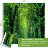 Peaceful Forest Jigsaw Puzzle 1000 Pieces