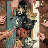Pieci curiosi curiosi per gatti 1000 pezzi