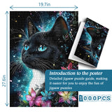 Puzzle chat Starlight 1000 pièces