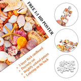 Sea Shells Jigsaw Puzzles 1000 Pieces