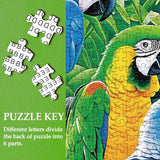 Colorful Parrots Jigsaw Puzzle 1000 Pieces