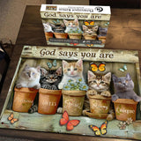 Flowerpot Kitten Jigsaw Puzzle 1000 Pieces