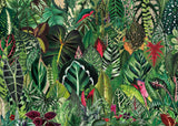 Houseplant Jungle Jigsaw Puzzle 1000 Pieces