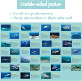 Ocean Theme Shark Jigsaw Puzzle 1000 Pieces