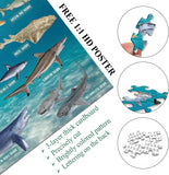 Ocean Theme Shark Jigsaw Puzzle 1000 Pieces